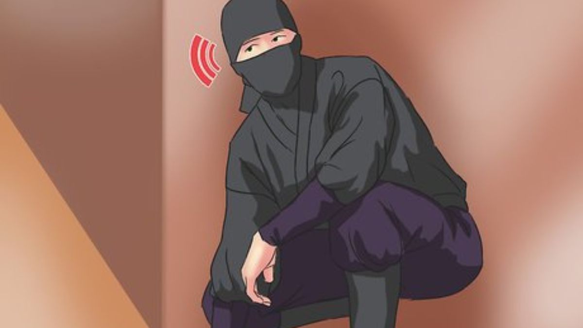 Lwedninja Explained: Features, Uses, and Advantages