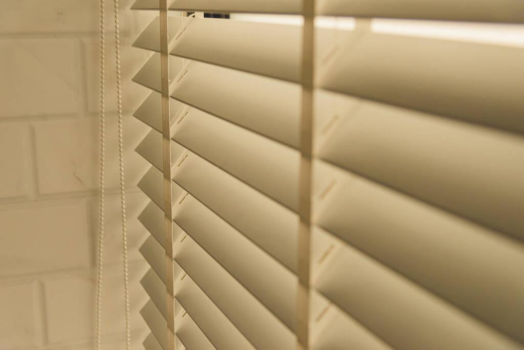 Motorized Shades