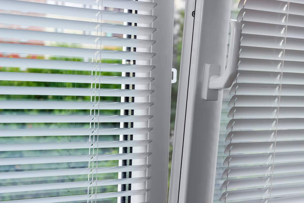 Motorized Shades