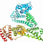 Understanding Albumīns: The Essential Proteins for Our Health