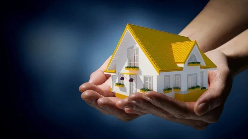 A Deep Dive into Pigeimmo: Success Stories from Savvy Investors