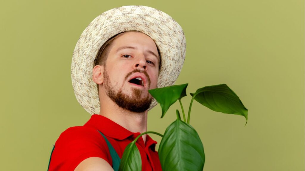Ag-Kunst-Kultur