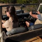 The Ultimate Guide to Planning Successful Hog Hunts in Texas
