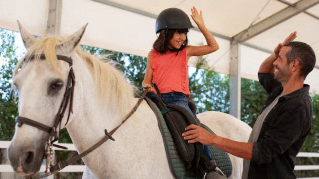 Understanding the Role of Jump Walls in Equestrian Training