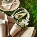 Why Pappedeckel is the Future of Packaging in a Green Economy