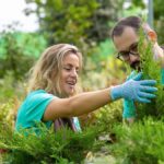 Exploring the Benefits of Lyposingrass for Your Garden