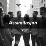 Assimilasjon: Navigating the Complexities in Today Global Society