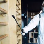 Why BugsIsDead is Changing the Game in Pest Control Solutions