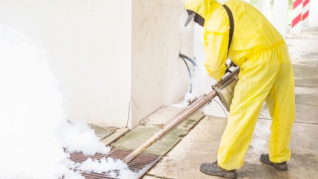 How Clean Gutters Help Prevent Pest Infestations