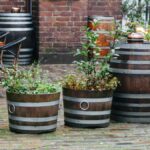 Discover the Durability and Style of Extra Large Lightweight Outdoor Pots