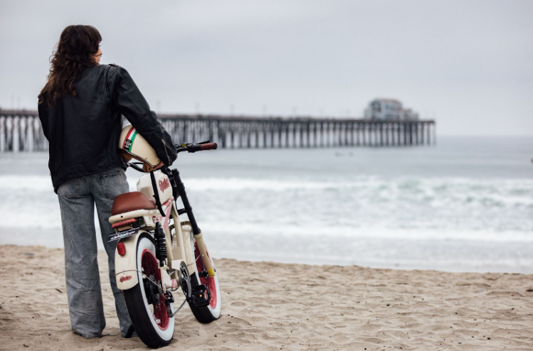 Fat Tire Electric Bike