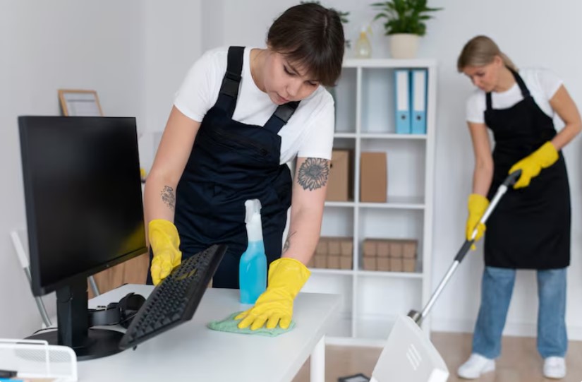 Professional Cleaning