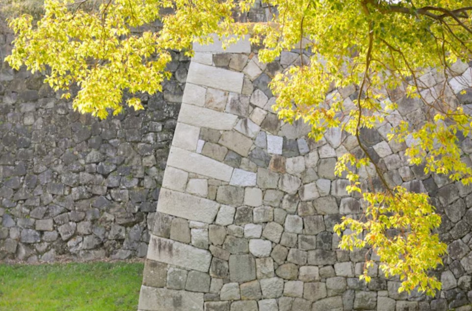 How Retaining Walls Combine Structure and Design to Transform Challenging Yard Terrain