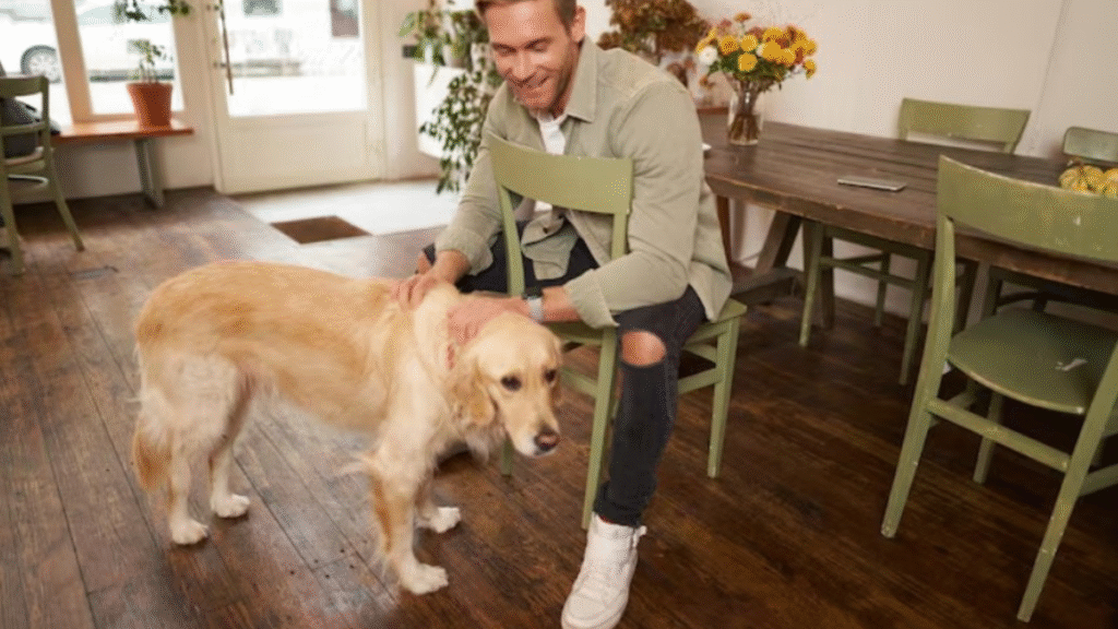 Dog Daycare: A Growing Comfort for Modern Pet Owners