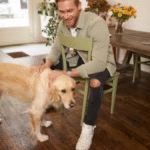 Dog Daycare: A Growing Comfort for Modern Pet Owners