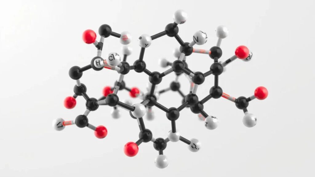 HCOOCH CH2 H2O: Bridging Concepts in Modern Chemical Research