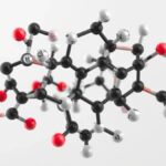 HCOOCH CH2 H2O: Bridging Concepts in Modern Chemical Research