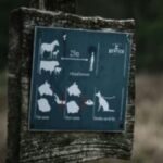 Exploring Konversky: A Gateway to Enhanced Online Conversations