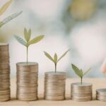 Unraveling Weirdwealth: The Quirky Side of Modern Wealth Creation