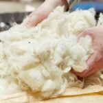 Discover Woolrec: The Ultimate Resource for Eco-Friendly Wool Products