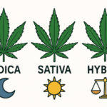 How to Choose the Right Cannabis Strain in Pleasantville